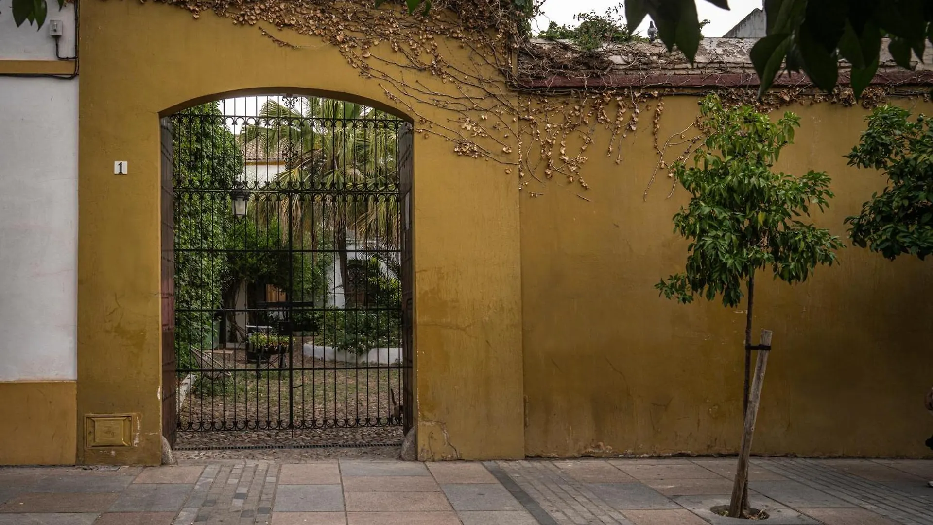 Palacio De Los Angulo Casa Historica En El Centro De Cordoba Spain